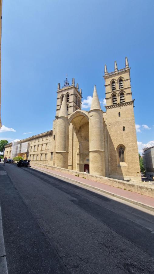 Le Petit Olivier En Coeur De Ville + Parking Incl. Montpellier Eksteriør billede