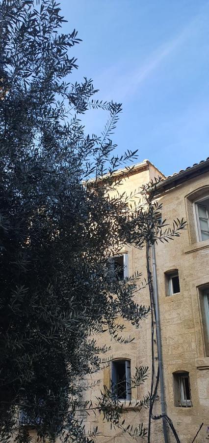Le Petit Olivier En Coeur De Ville + Parking Incl. Montpellier Eksteriør billede
