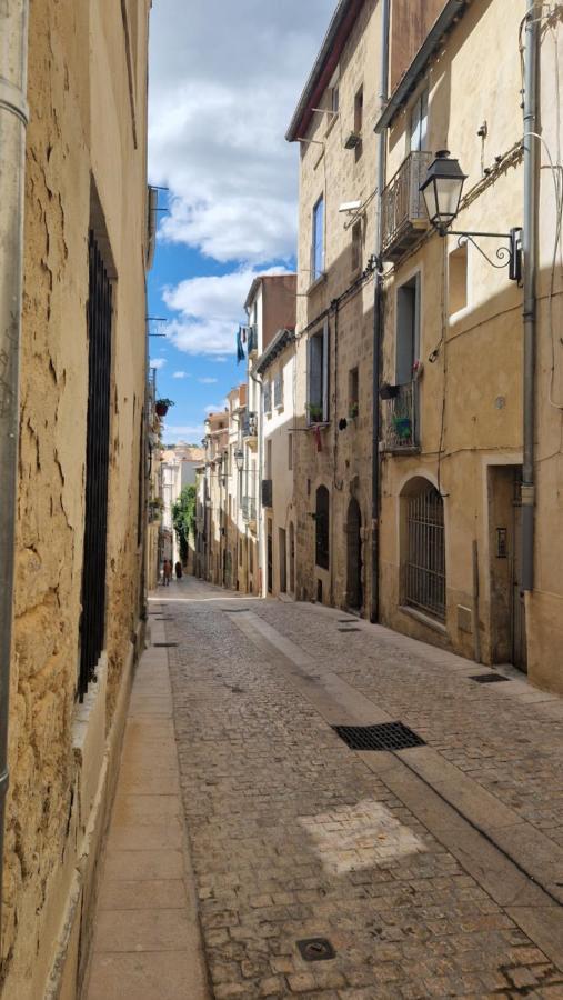 Le Petit Olivier En Coeur De Ville + Parking Incl. Montpellier Eksteriør billede